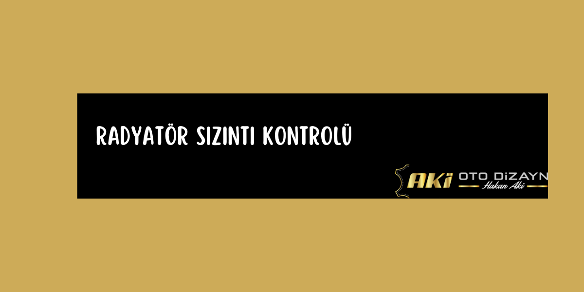 radyator-sizinti-kontrolu-gorsel-1